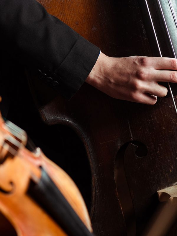 Professional musician playing on double bass